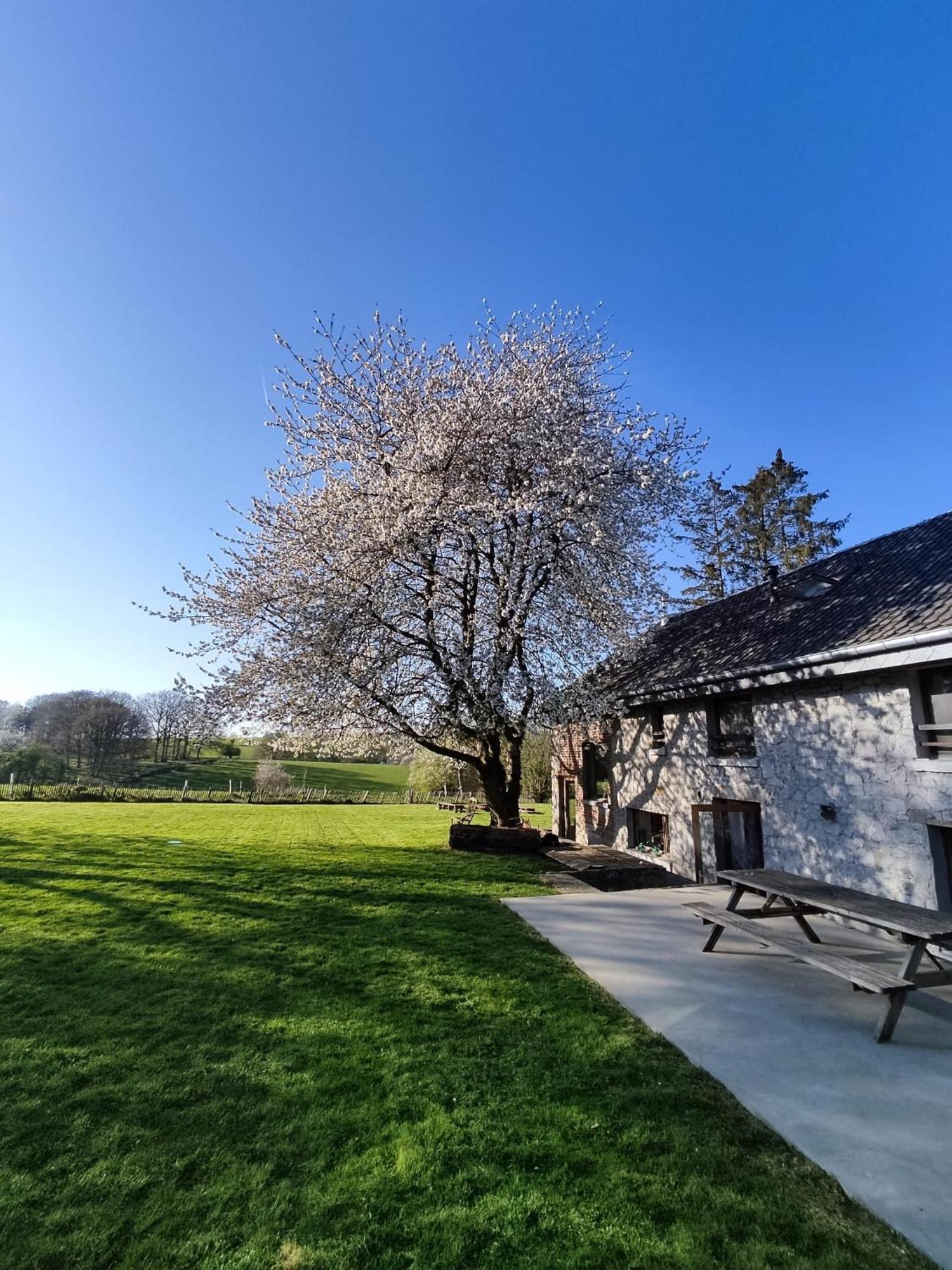 Gerestaureerde Hoeve Met Zicht Durbuy Exterior photo