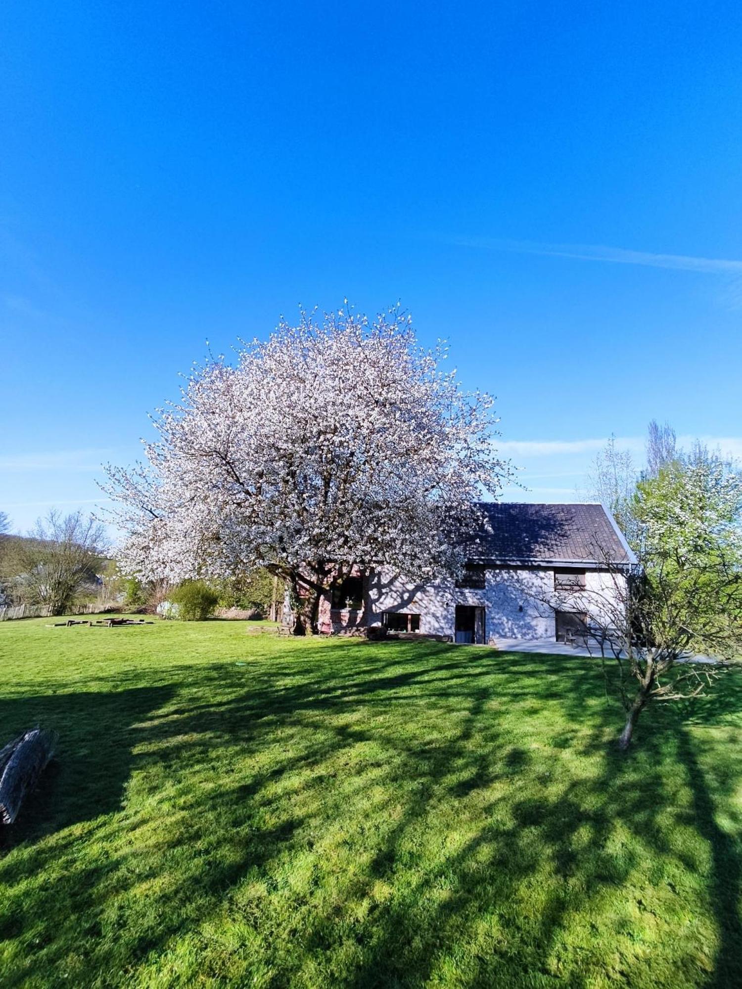 Gerestaureerde Hoeve Met Zicht Durbuy Exterior photo